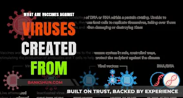 Understanding the Science Behind Viral Vaccines: Key Components Explained