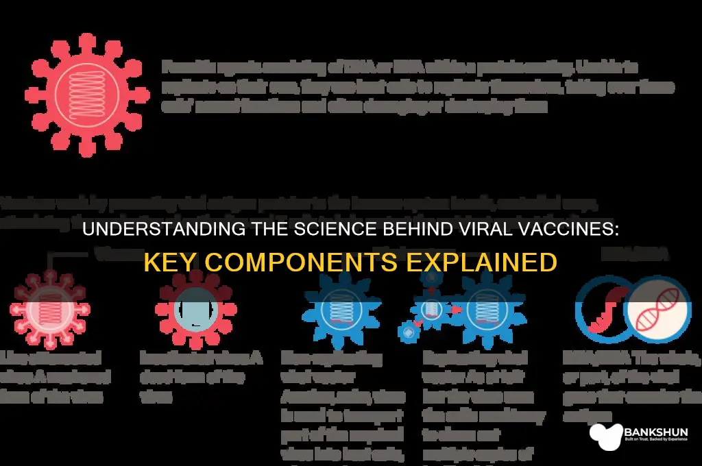 what are vaccines against viruses created from
