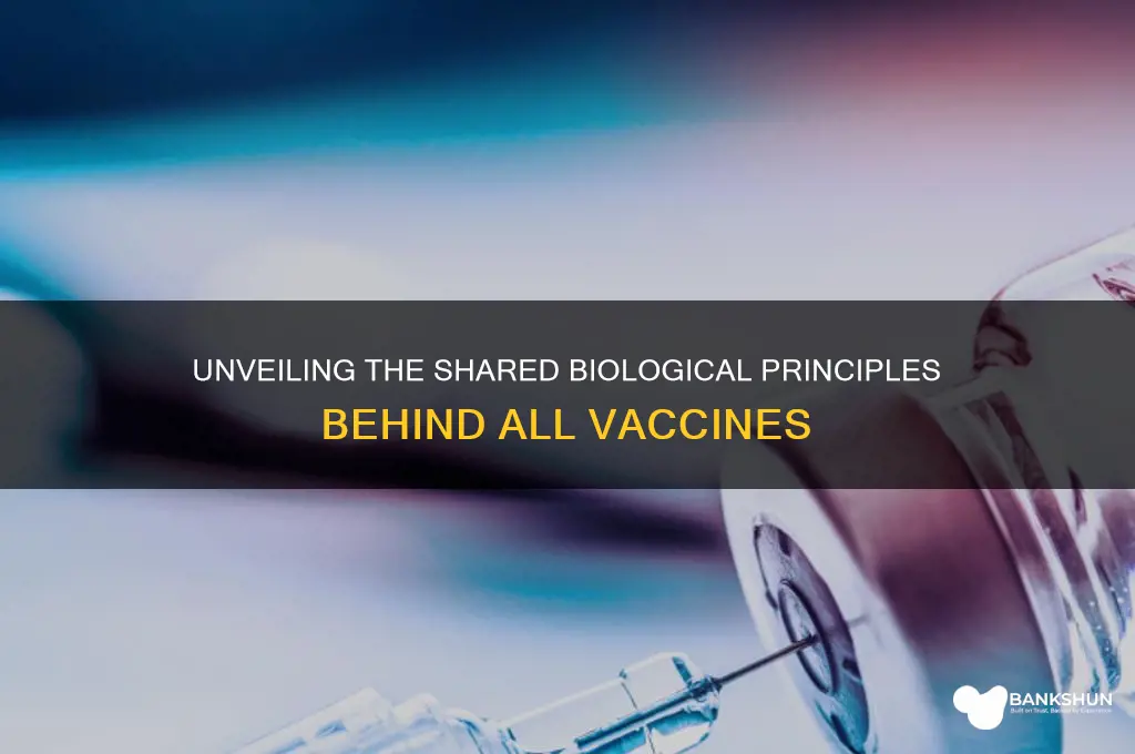 what are vaccines biology have in common