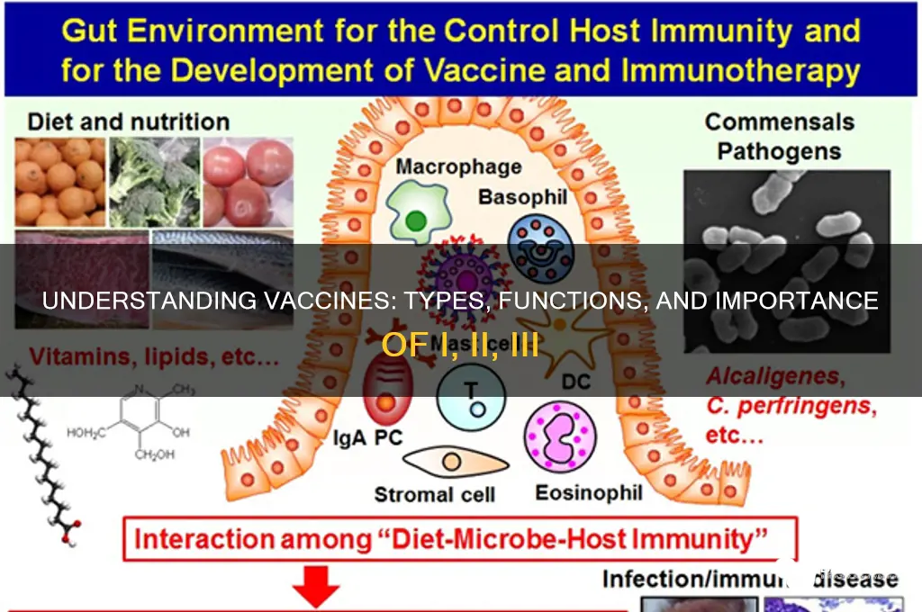 what are vaccines i ii and iii