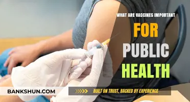 Vaccines: Essential Tools for Protecting Public Health and Saving Lives