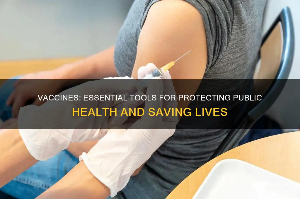 what are vaccines important for public health