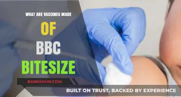 Understanding Vaccines: Key Ingredients Explained Simply BBC Bitesize