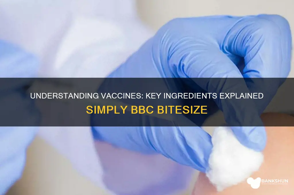 what are vaccines made of bbc bitesize