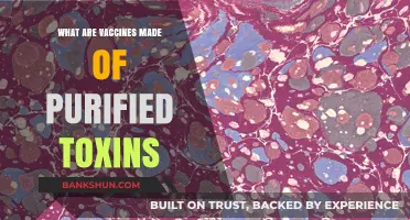 Understanding Vaccines: Purified Toxins and Their Role in Immunization