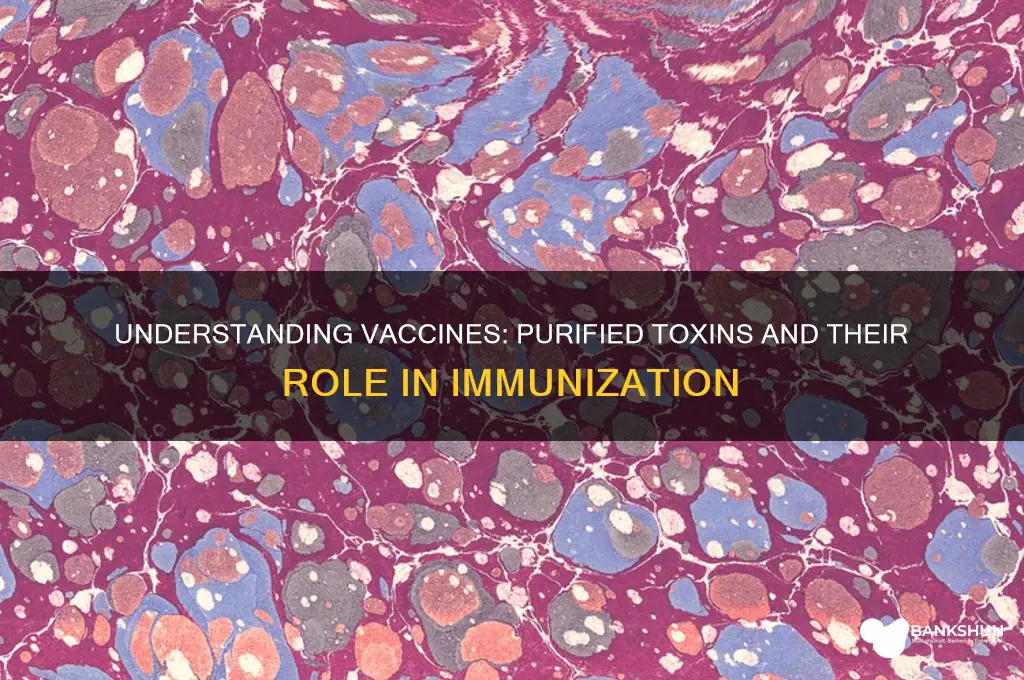 what are vaccines made of purified toxins