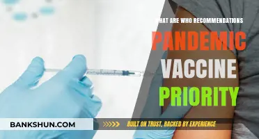 WHO's Pandemic Vaccine Priority Guidelines: Key Recommendations Explained