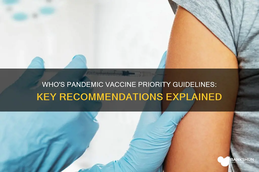 what are who recommendations pandemic vaccine priority