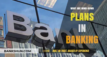 Understanding Wind-Down Plans: Essential Banking Strategies for Financial Stability