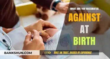 Newborn Vaccinations: Essential Immunizations Administered at Birth Explained