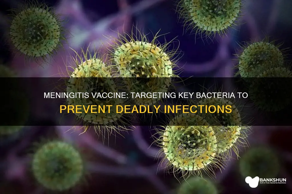 what bacteria is the meningitis vaccine against