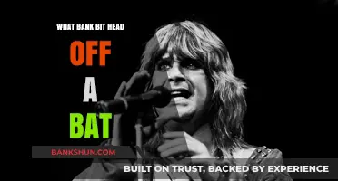Unbelievable Bank's Bizarre Bat Incident: What Really Happened?
