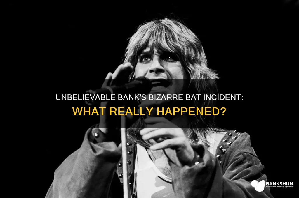 what bank bit head off a bat