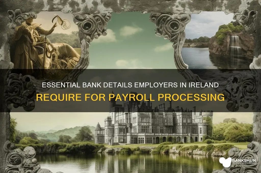 what bank details do employers need ireland