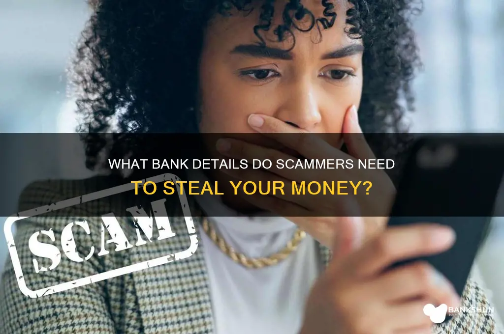 what bank details does a scammer need
