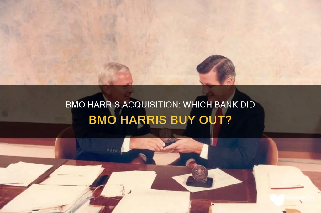 what bank did bmo haiiis buy out