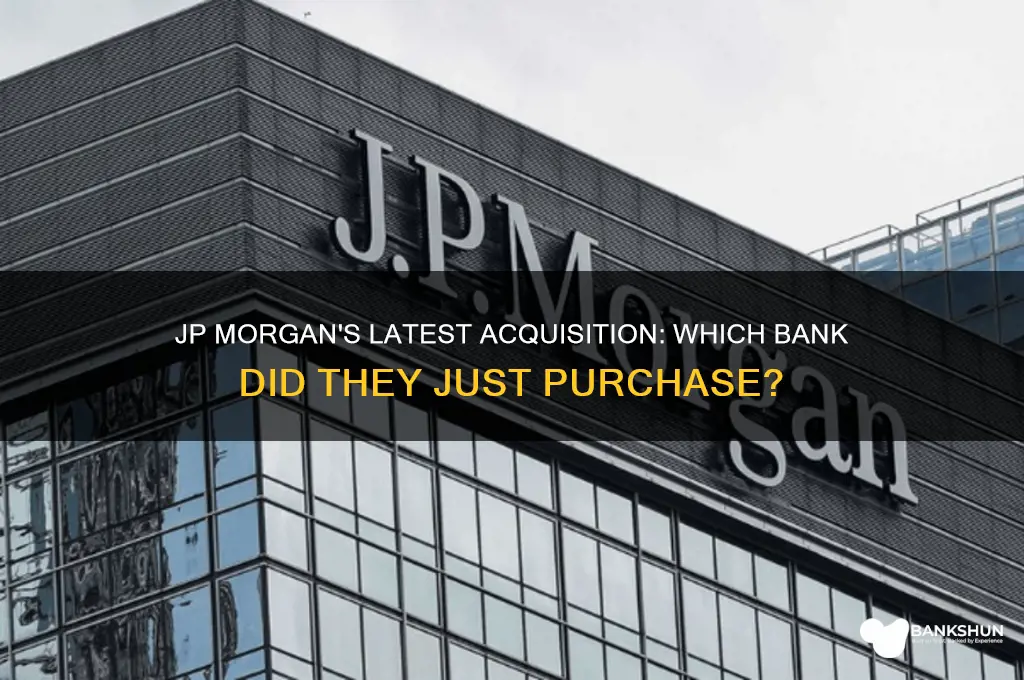 what bank did jp morgan just buy