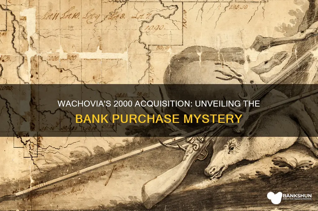 what bank did wacovia buy in 2000