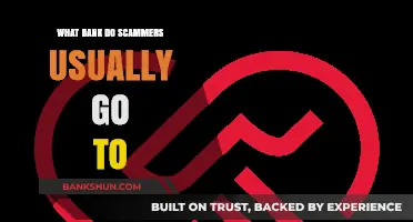 Scammers' Bank Preferences: Uncovering Their Go-To Financial Institutions