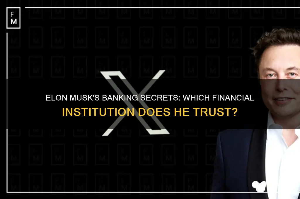what bank does elon musk bank with