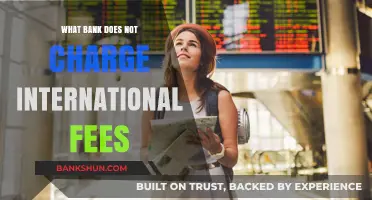 Top Banks Offering No International Fees for Global Travelers