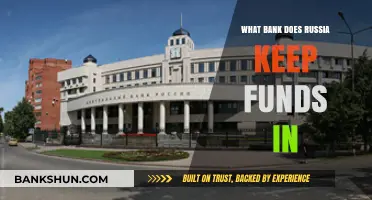 Where Does Russia Keep Its Funds? Exploring the Bank Connections