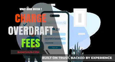 Avoid Overdraft Fees: Top Banks That Don’t Charge Extra