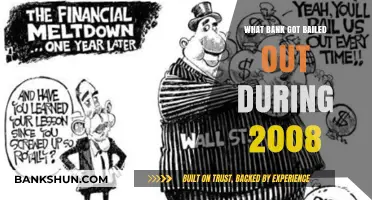 2008 Financial Crisis: Which Major Bank Received a Bailout?