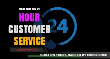Banks Offering Round-the-Clock Customer Support: Which One Fits You?