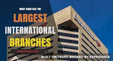 Global Banking Giants: Which Bank Leads in International Branch Network?
