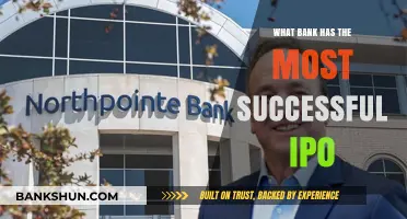 Which Bank's IPO Stands Out as the Most Successful?