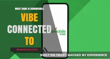 BankMobile Vibe: Which Bank Powers This Digital Banking Service?
