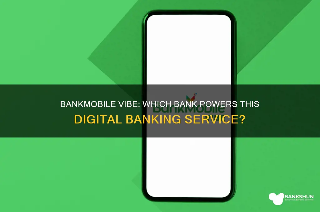 what bank is bankmobile vibe connected to