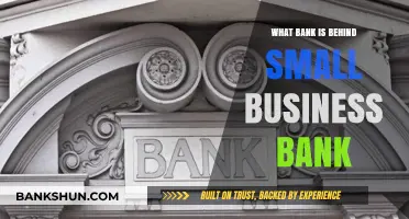 Unveiling the Bank Behind Small Business Bank: A Comprehensive Guide