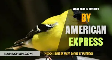 Bluebird by American Express: Which Bank Powers This Service?