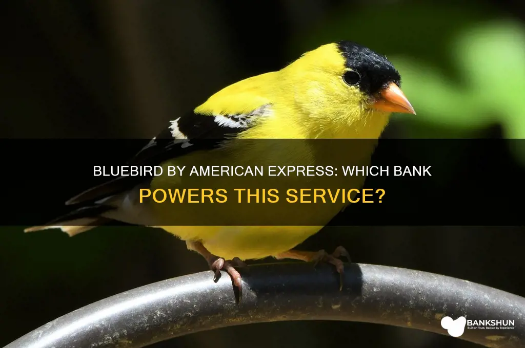 what bank is bluebird by american express