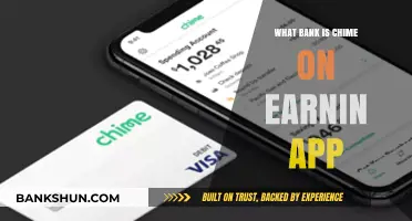 Which Bank Does Chime Use on the Earnin App?
