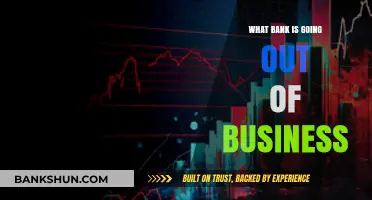 Which Bank is Failing? Analyzing the Next Potential Bank Closure