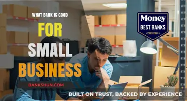 Best Banks for Small Businesses: Top Picks and Key Features