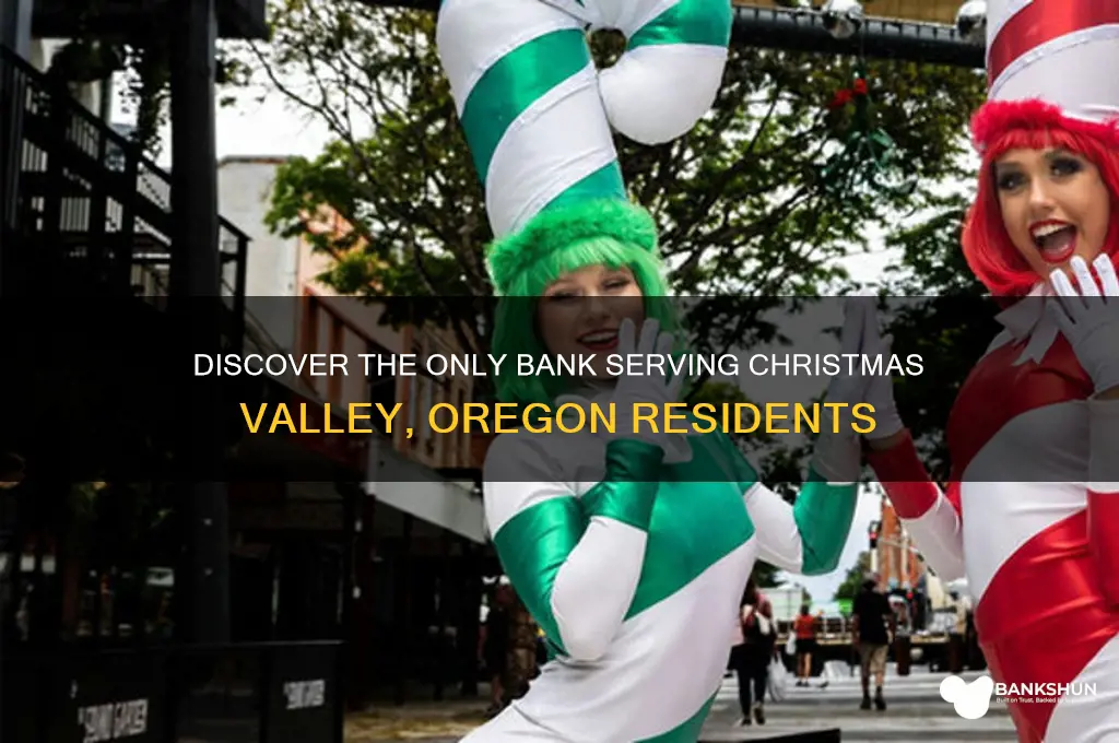 what bank is in christmas valley oregon