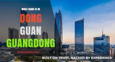 Discovering Dongguan's Banking Options: Which Bank Operates in Guangdong?