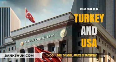 Exploring Banks Operating in Both Turkey and the United States