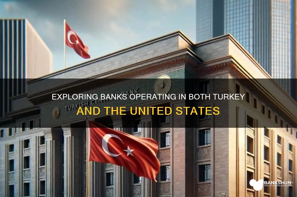 what bank is in turkey and usa
