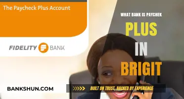 Understanding Paychek Plus: Which Bank Does Brigit Partner With?