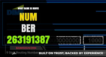 Discover the Bank Behind Routing Number 263191387: A Guide