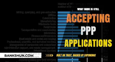 Which Banks Are Still Accepting PPP Loan Applications in 2023?