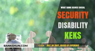 Which Bank Issues Social Security Disability Checks: A Comprehensive Guide