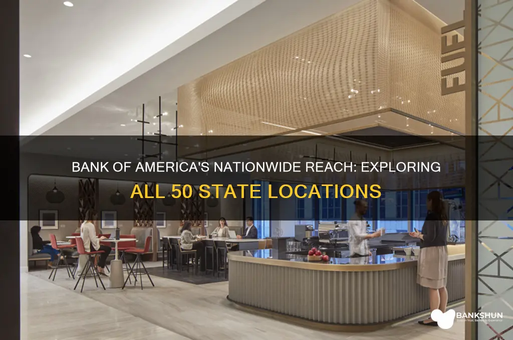 what bank of americca 50 states locations