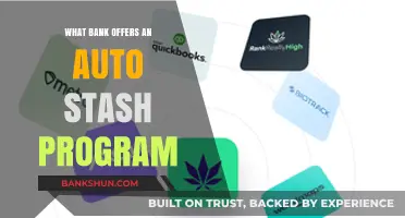 Discover Banks Offering Auto Stash Programs for Smart Savings