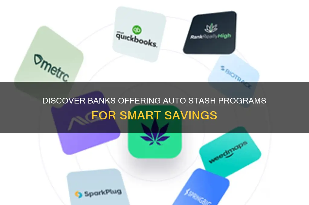 what bank offers an auto stash program